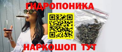 прущие крисы Аргун