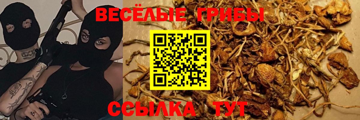 Балашиха  Галлюциногенные грибы Psilocybine cubensis  Вход с VPN  Галлюциногенные грибы Magic Shrooms 