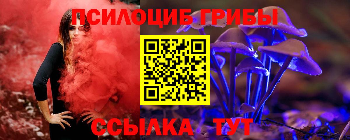 Псилоцибиновые грибы Psilocybe Балашиха